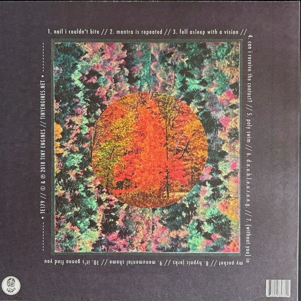 Spirit Of The Beehive* : Hypnic Jerks (LP, Album, RP, Bla)