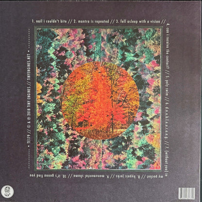 Spirit Of The Beehive* : Hypnic Jerks (LP, Album, RP, Bla)