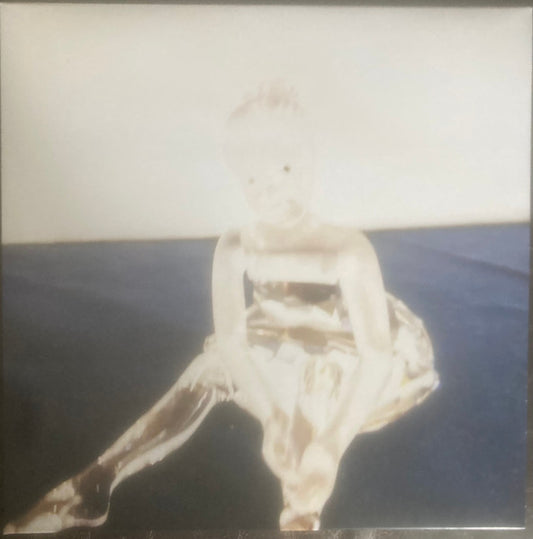 Victoryland : My Heart Is A Room With No Cameras In It (LP)