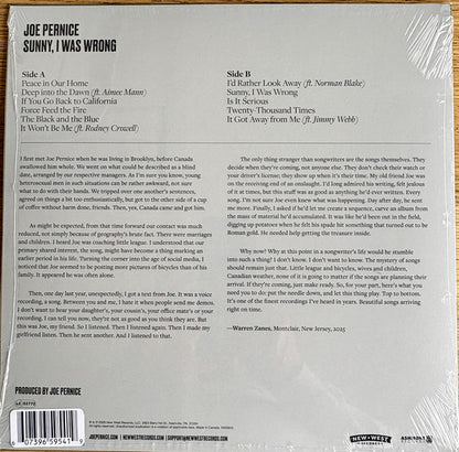 Joe Pernice : Sunny, I Was Wrong (LP, Album, Bla)
