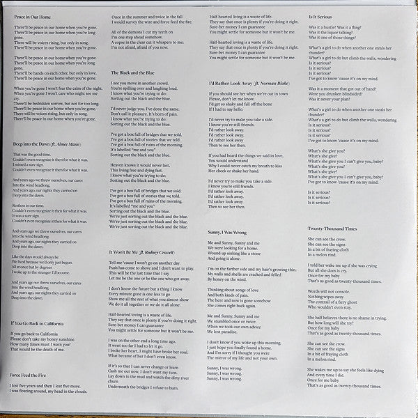 Joe Pernice : Sunny, I Was Wrong (LP, Album, Bla)
