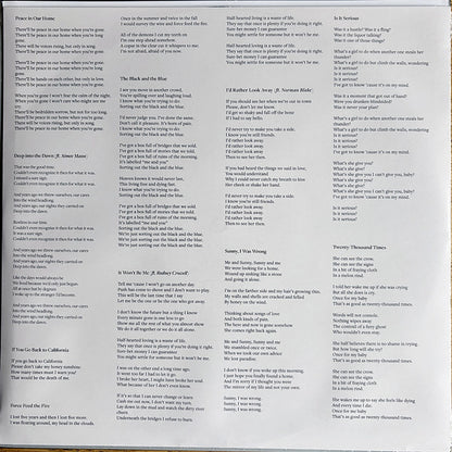 Joe Pernice : Sunny, I Was Wrong (LP, Album, Bla)