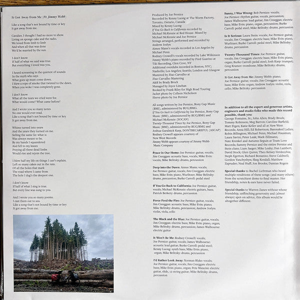 Joe Pernice : Sunny, I Was Wrong (LP, Album, Bla)