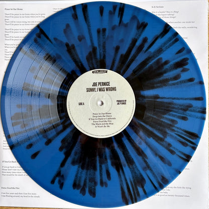 Joe Pernice : Sunny, I Was Wrong (LP, Album, Bla)