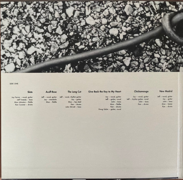 Uncle Tupelo : Anodyne (LP, Album, Ltd, Num, RE, 180)