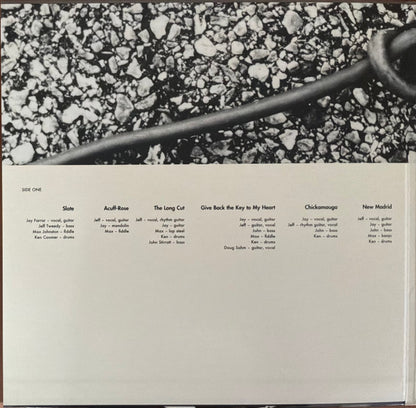 Uncle Tupelo : Anodyne (LP, Album, Ltd, Num, RE, 180)