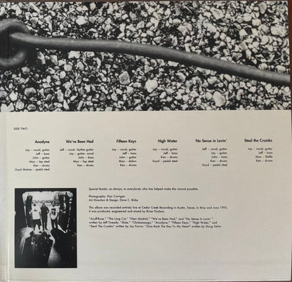 Uncle Tupelo : Anodyne (LP, Album, Ltd, Num, RE, 180)
