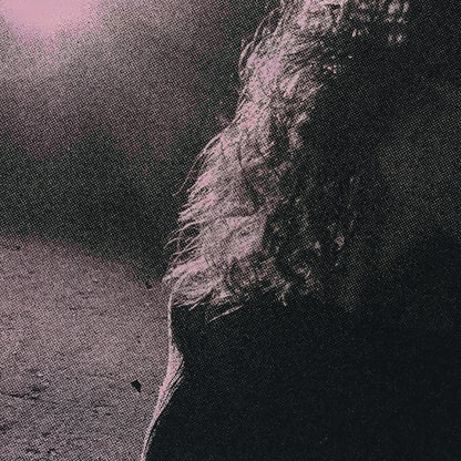 Venturing : Ghostholding (LP, Album, Dlx, Ltd, Orc)