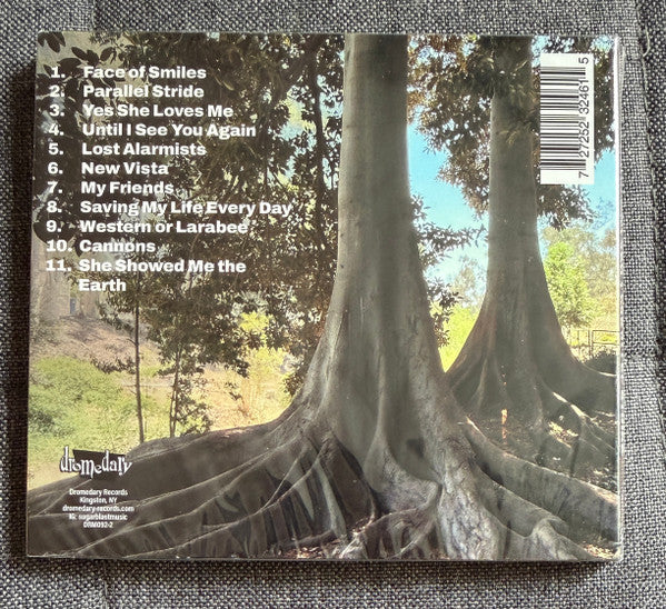 Doug Gillard : Parallel Stride (CD, Album)