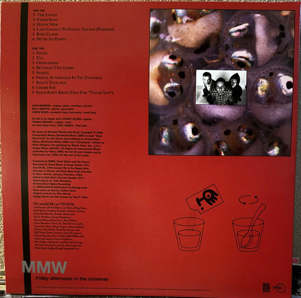 Medeski Martin & Wood : Friday Afternoon In The Universe (LP, Album, Mag)