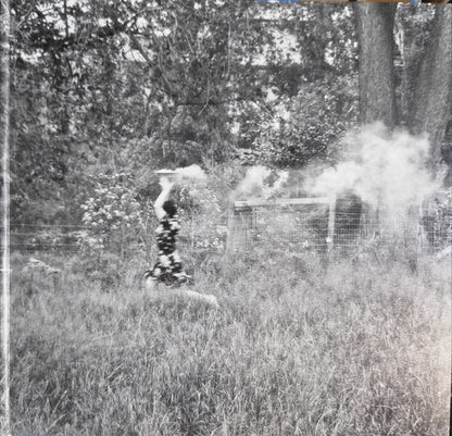 Aldous Harding : Train On The Island (LP, Album, Ltd, Blu)