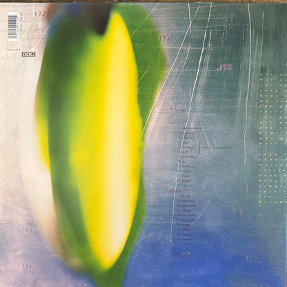 His Name Is Alive : Home Is In Your Head (LP, Album, RE, RM)