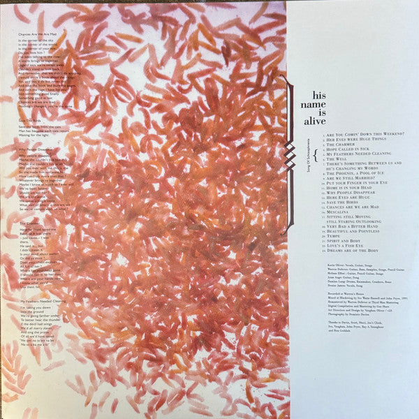 His Name Is Alive : Home Is In Your Head (LP, Album, RE, RM)