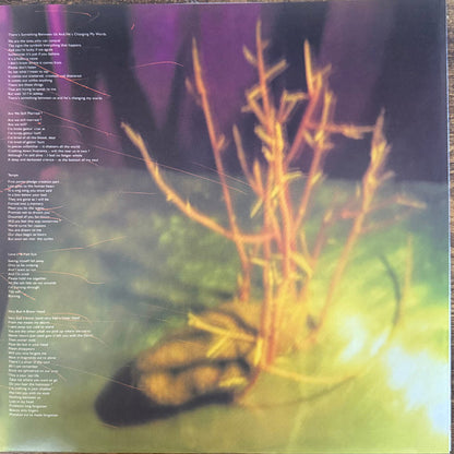 His Name Is Alive : Home Is In Your Head (LP, Album, RE, RM)