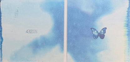 Ed O'Brien : Blue Morpho (CD, Album)