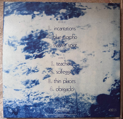 Ed O'Brien : Blue Morpho (LP, Album)
