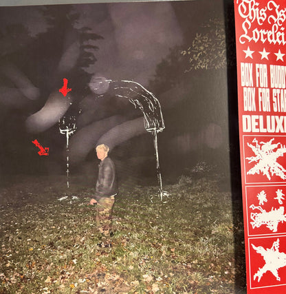 This Is Lorelei : Box for Buddy, Box for Star (Super Deluxe) (2xLP, Album, Dlx, Che + Flexi, 7", Single, Bla)