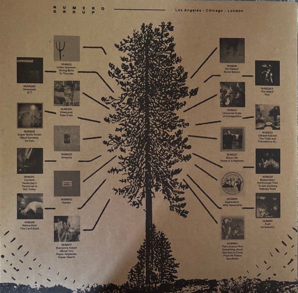 The Lazarus Plot : Something Good Has Got To Come Out Of All Of These Goodbyes (LP, Comp, Red)