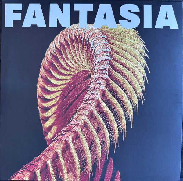Slift : Fantasia (2xLP, Ltd, Los)