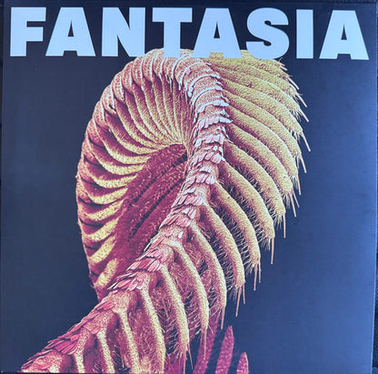 Slift : Fantasia (2xLP, Ltd, Los)