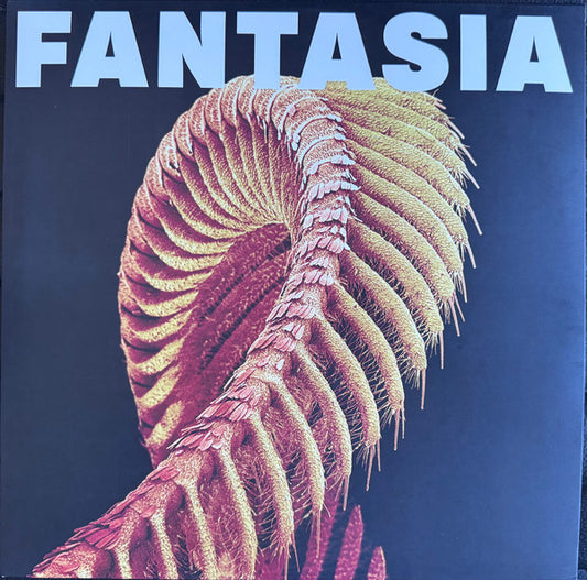 Slift : Fantasia (2xLP, Ltd, Los)