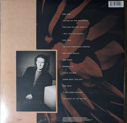 Don Henley : The End Of The Innocence (2xLP, Album, RE, RM, 180)