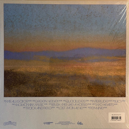 JJerome87 : The Canyon (LP, Album)