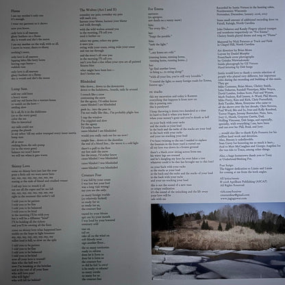 Bon Iver : For Emma, Forever Ago (LP, Album, RE, Eco)
