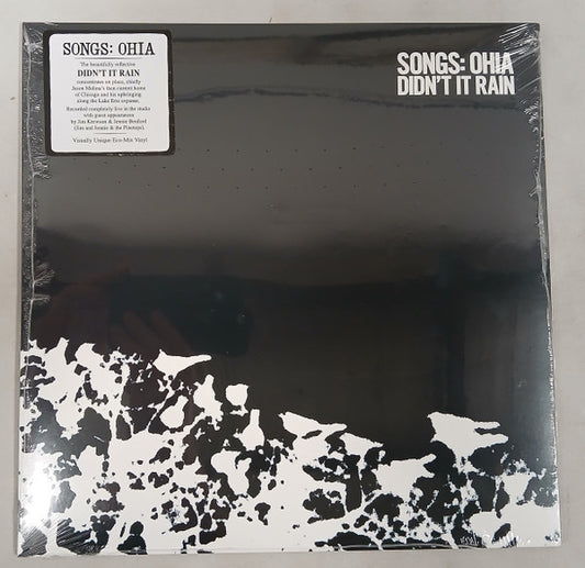 Songs: Ohia : Didn't It Rain (LP, Album, RE, Eco)