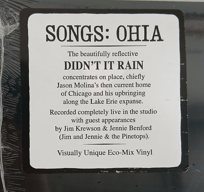 Songs: Ohia : Didn't It Rain (LP, Album, RE, Eco)