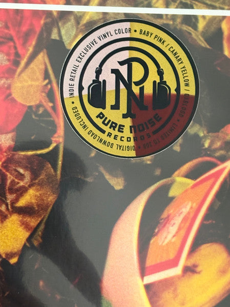 Drug Church : Hit Your Head (LP, Album, RP, Bab)