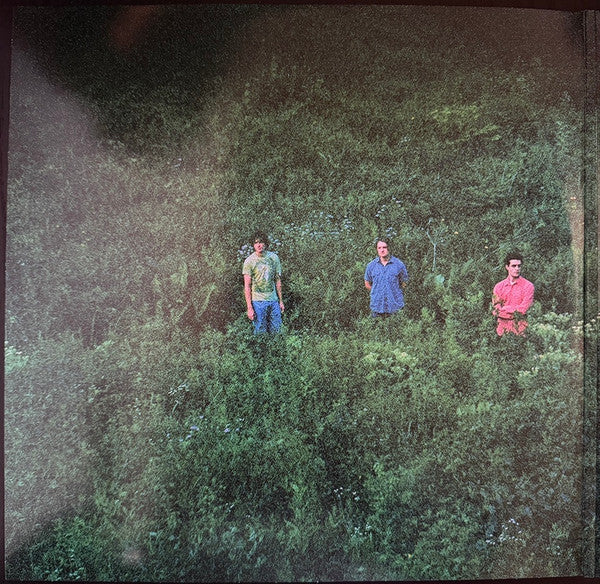 she's green : Swallowtail / Chrysalis (2xLP, Comp, Iri)