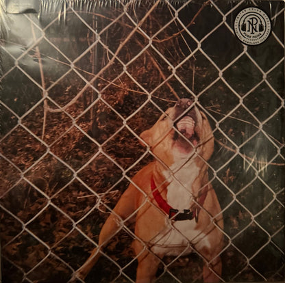 Knocked Loose : Pop Culture (12", S/Sided, EP, Etch, RE, Bla)
