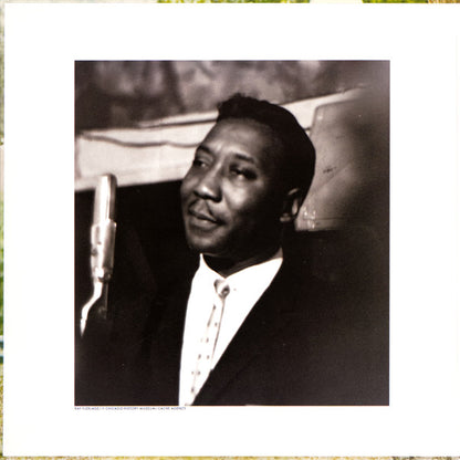 Muddy Waters : Muddy, Brass & The Blues (LP, Album, RE, Gat)