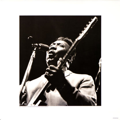 Muddy Waters : Muddy, Brass & The Blues (LP, Album, RE, Gat)