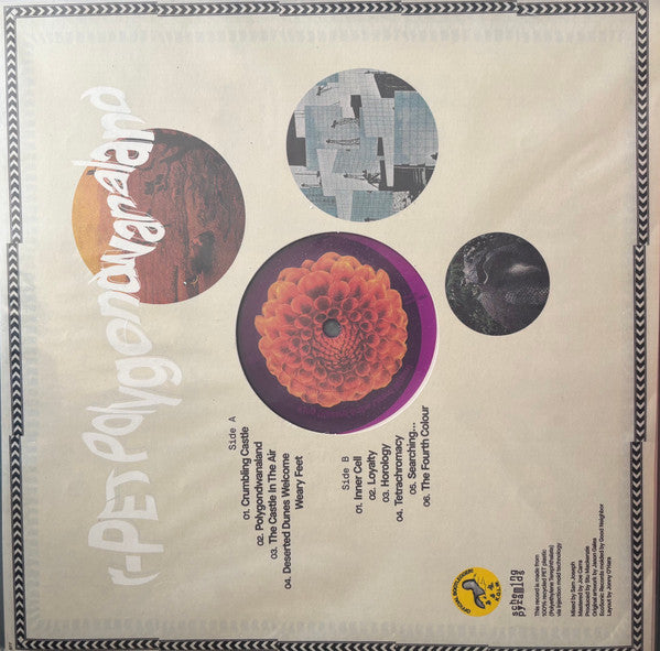 King Gizzard And The Lizard Wizard : Polygondwanaland (LP, S/Edition, Unofficial, rPE)