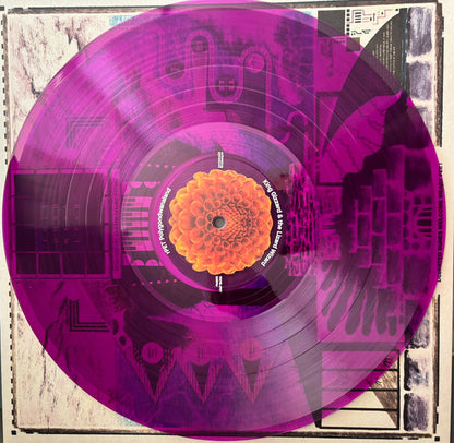 King Gizzard And The Lizard Wizard : Polygondwanaland (LP, S/Edition, Unofficial, rPE)