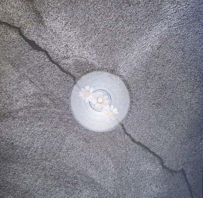 Ariana Grande : Petal (LP, Album, Tra)