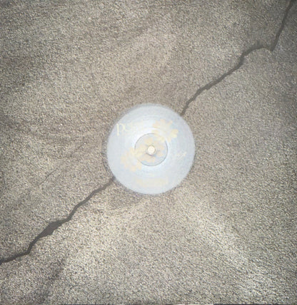 Ariana Grande : Petal (LP, Album, Tra)