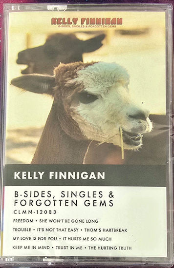 Kelly Finnigan : B-Sides, Singles & Forgotten Gems (Cass)