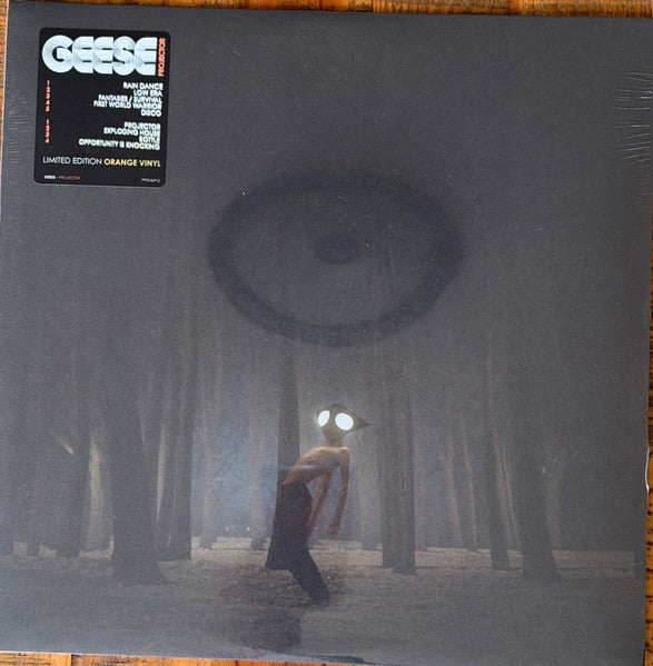 Geese (11) : Projector (LP, Ltd, Ora)