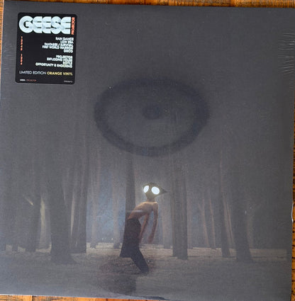 Geese (11) : Projector (LP, Ltd, Ora)