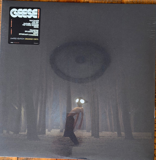 Geese (11) : Projector (LP, Ltd, Ora)