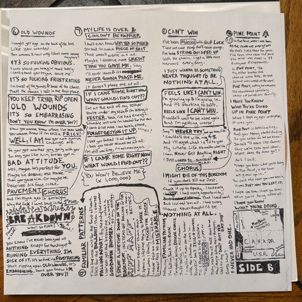 Pup (3) : The Dream is Over (LP, Ltd, S/Edition, Cle)