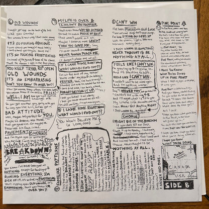 Pup (3) : The Dream is Over (LP, Ltd, S/Edition, Cle)