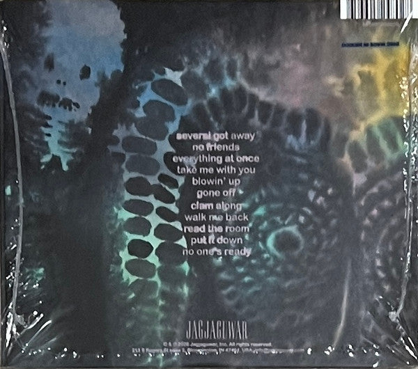Dinosaur Jr. : There Near (CD, Album)