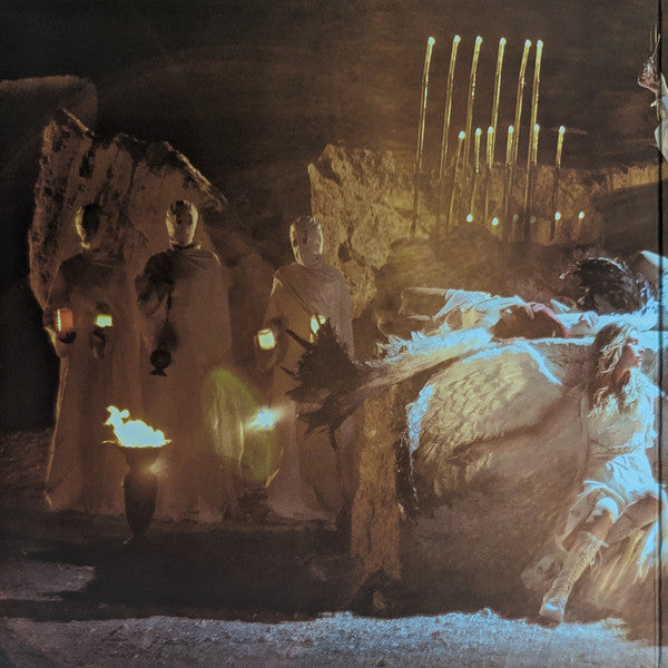 The Warning : Everything's Falling (LP, Album, Fea)