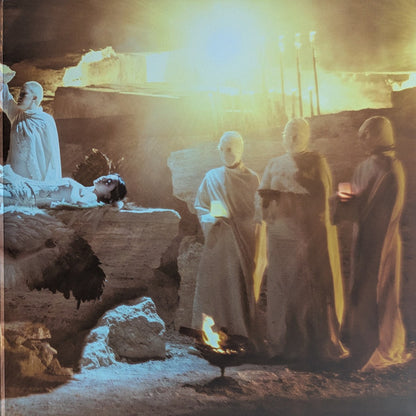 The Warning : Everything's Falling (LP, Album, Fea)