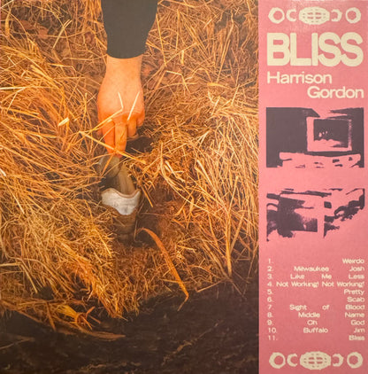 Harrison Gordon : Bliss (CD, Album)