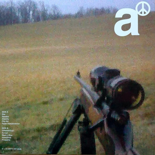 Pretty Sick : Anarchy (LP, Album, Ltd, Mil)